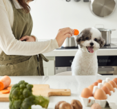 펫푸드 수제간식 만들기 이미지