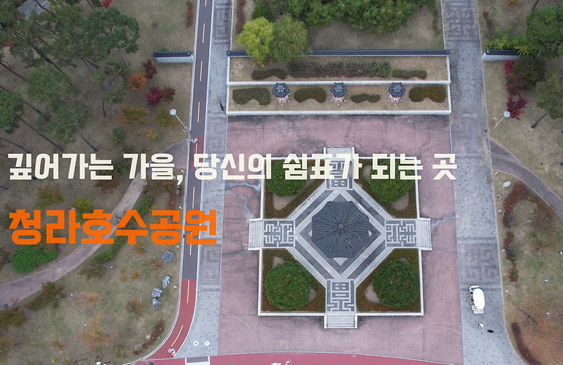 청라호수공원 가을 사진