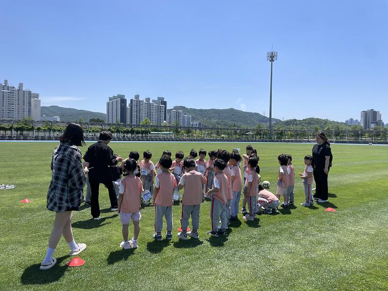 잔디구장.jpg 이미지