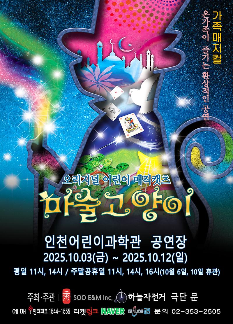 오리지널 어린이 매직캣츠 마술고양이 사진