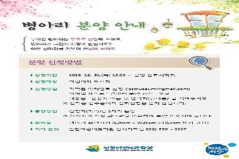 병아리분양안내문_12월.jpg 이미지
