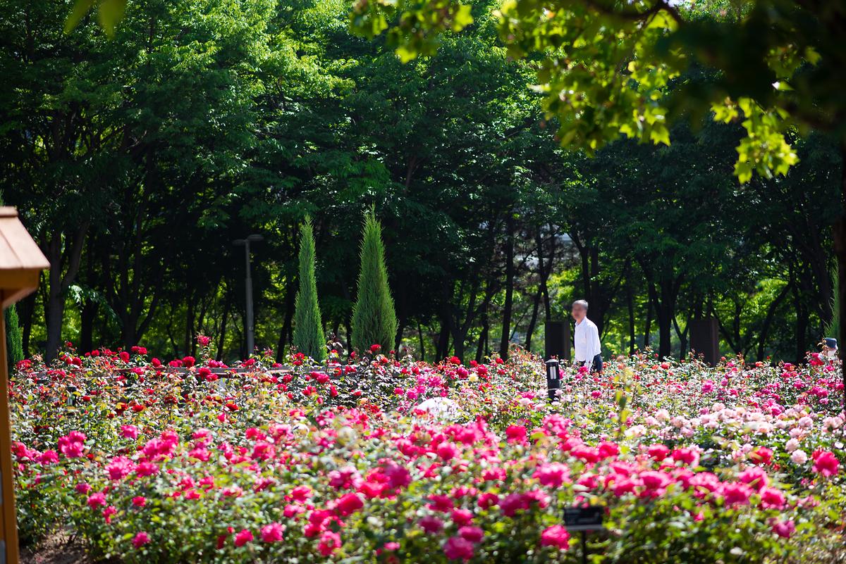 DSC_4659.jpg 이미지