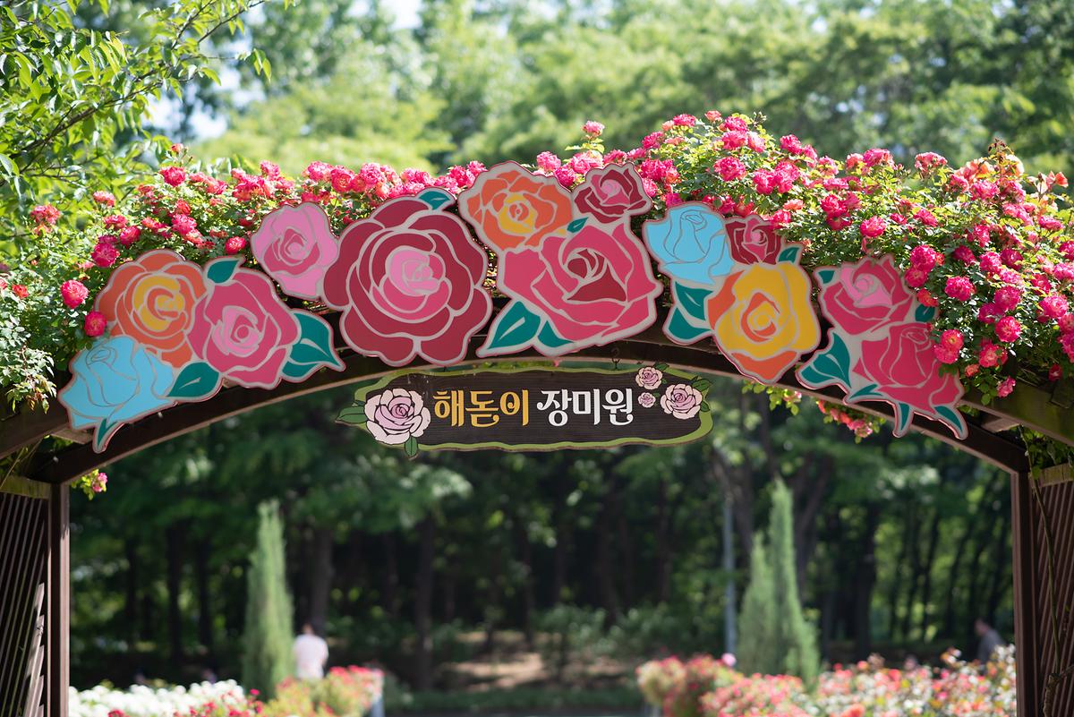 DSC_4660.jpg 이미지