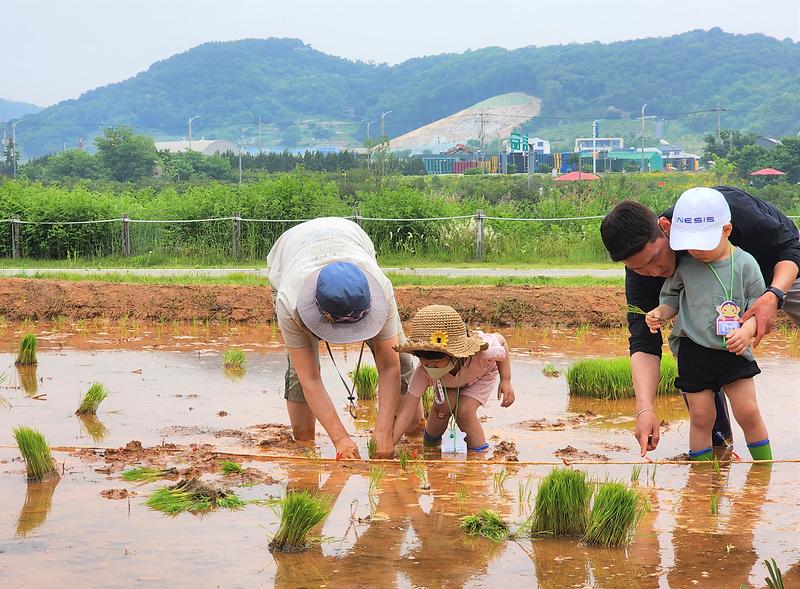 송도 달빛공원 시민 체험형 초심정원 조성 사진