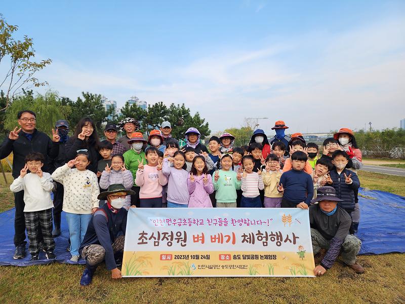 인천시설공단, 송도 달빛공원 내 초심정원에서 벼베기 체험 행사  ​ 사진