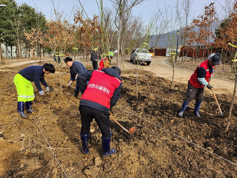 인천시설공단, “청라공원, 명품공원 만들기” … 나무·꽃 식재로 봄맞이 새단장 한창 사진