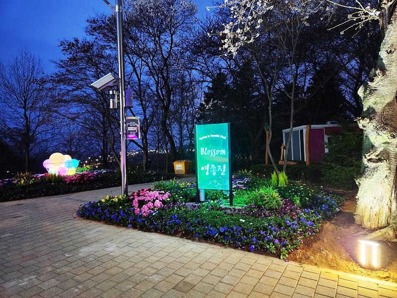 씨사이드파크 영종진 벚꽃길 야간 경관조명 점등 사진