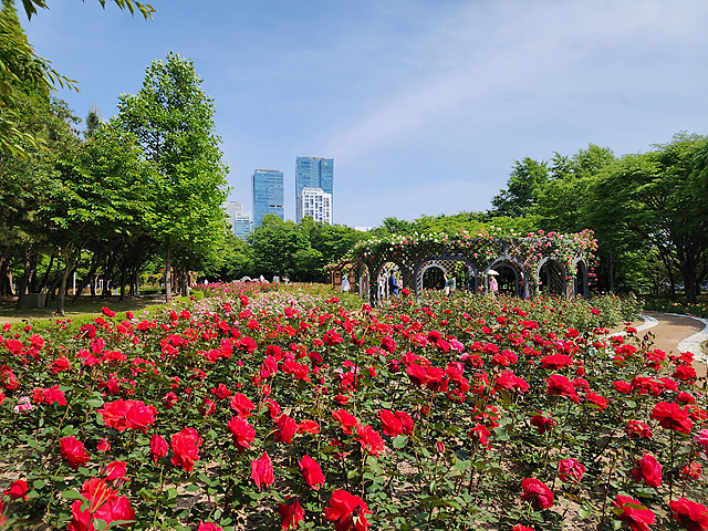 250525_보도사진.png 이미지