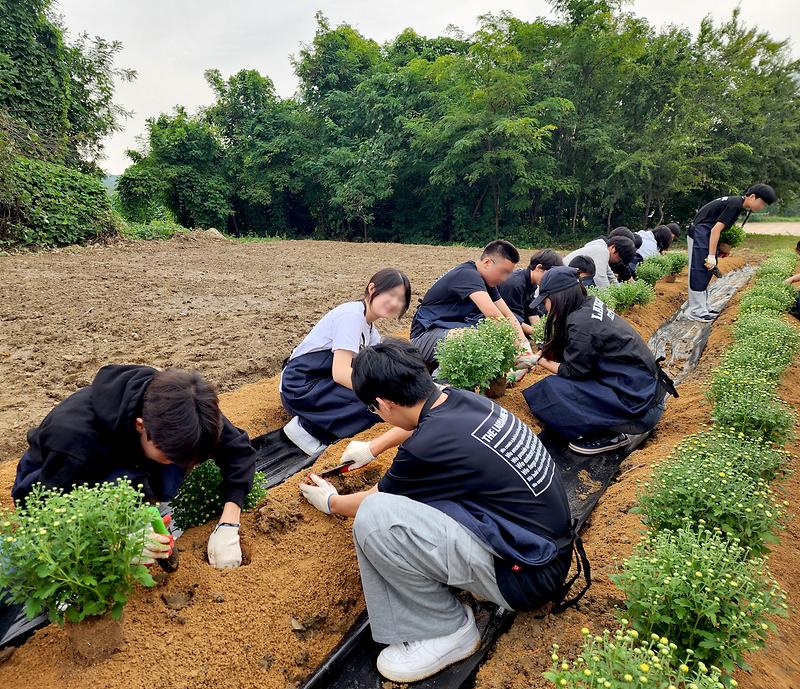 인천시설공단, 송도달빛공원에서의 ‘달콤한 동행’ 사진