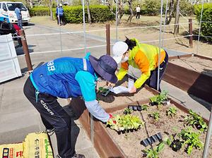 인천시설공단, 도심 속 힐링 공동체  ‘아시아드 休 도시텃밭’ 운영 시작 대표이미지