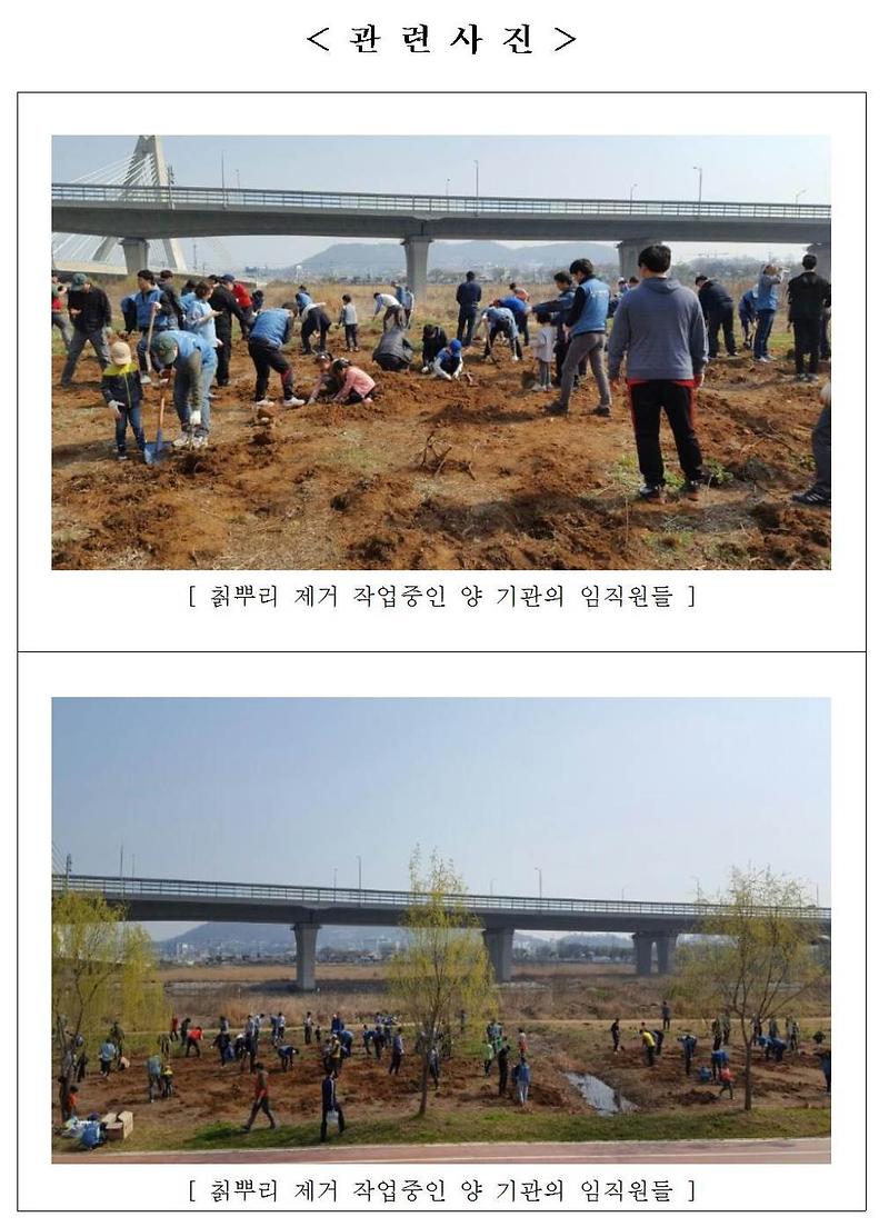 송도공원사업단 민·관 합동 칡뿌리 제거002-crop.jpg 이미지