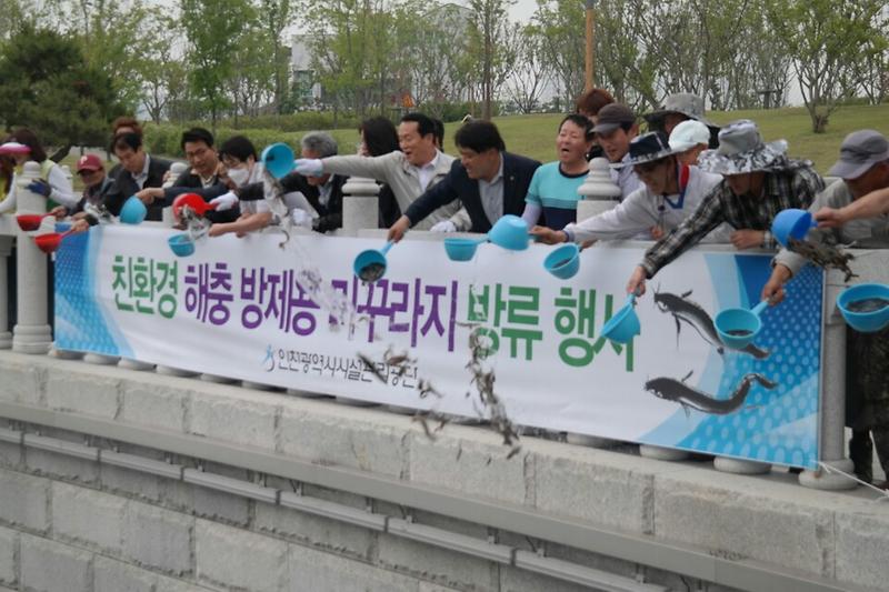 미꾸라지를 방류하는 인천시설관리공단 이응복 이사장과 직원들 1.JPG 이미지