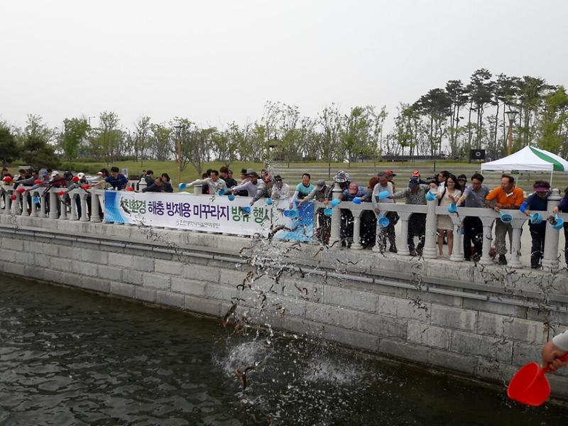 미꾸라지를 방류하는 인천시설관리공단 이응복 이사장과 직원들 2.JPG 이미지