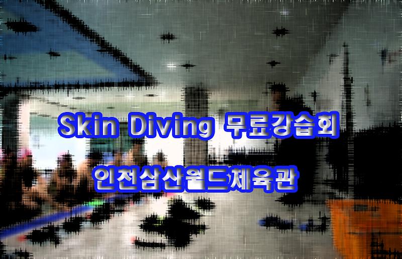 인천삼산월드체육관 스킨다이빙 무료강습회 사진