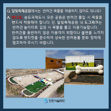 img10.gif