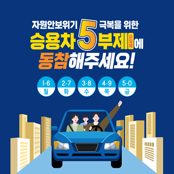 5부제