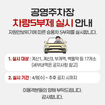 공공주차장 5부제