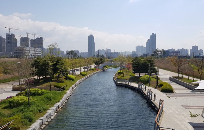 전경 사진