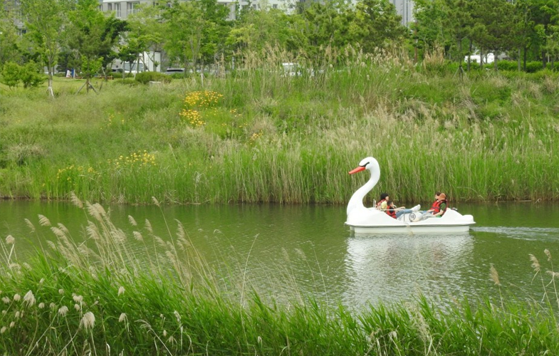 수상레저 체험 사진