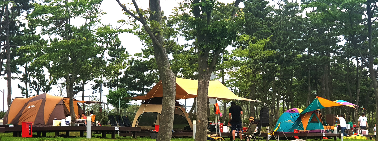 인천송도국제캠핑장3 사진