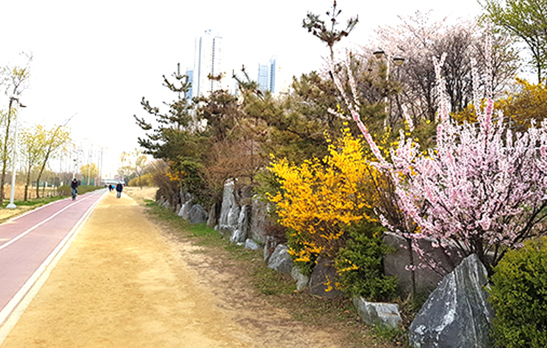 산책로 사진